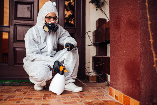 Reliable Cockroach Control contractor in Kemmerer, WY by Nex Pest Control
